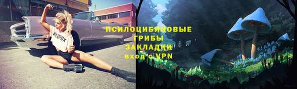 героин Алзамай