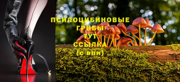 трава Алексин