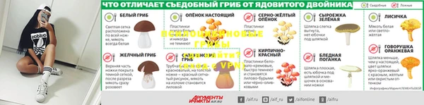 ПСИЛОЦИБИНОВЫЕ ГРИБЫ Алексеевка