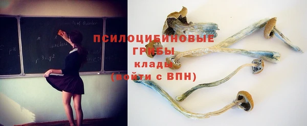 героин Алзамай