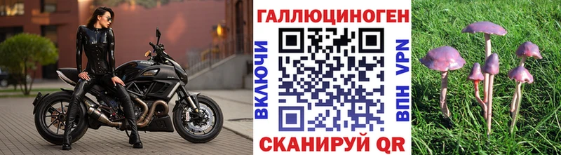mega ТОР Андреаполь Галлюциногенные грибы MAGIC MUSHROOMS хочу наркоту