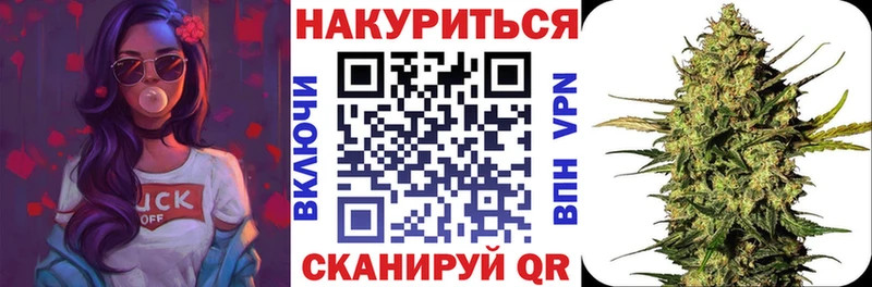 Бошки Шишки планчик  Андреаполь 